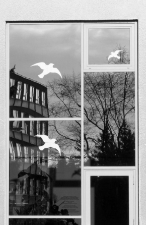 Černobílá fotografie - Zrcadlení