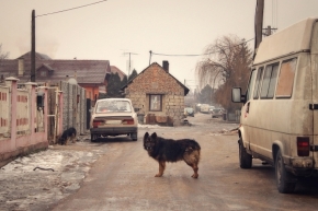 Fotograf roku na cestách 2012 - Romská osada