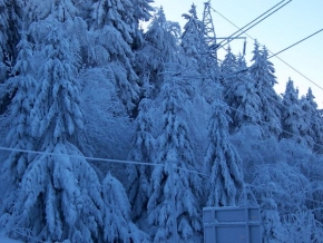 Stromy v krajině - Pravá zima