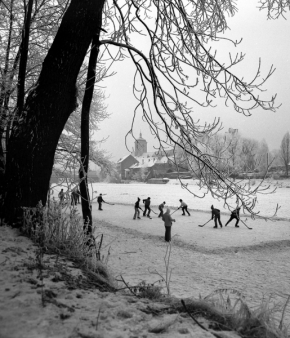 Černobílá fotografie - Fotograf roku - Kreativita - IV. kolo - Zima