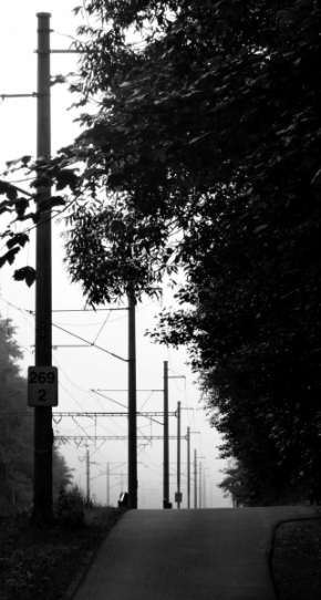 Černobílá fotografie - Cestou domů..