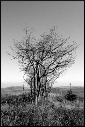 Černobílá fotografie - Nahý
