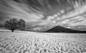 Černobílá fotografie - Pod Růžovským vrchem