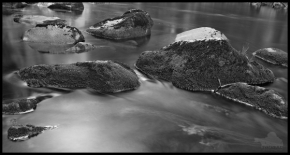 Černobílá fotografie - na Sumave po ranu