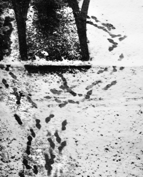 Černobílá fotografie - Hurá na lyže