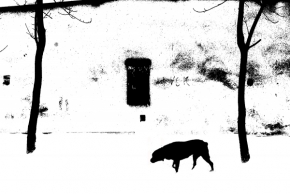 Černobílá fotografie - Před naším domem