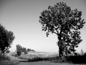Černobílá fotografie - krajina