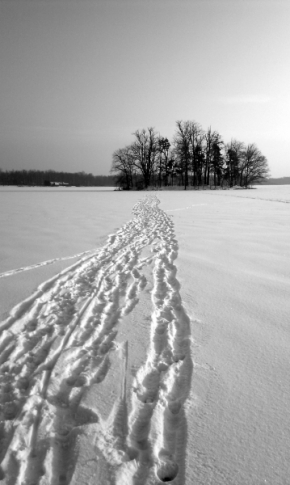 Černobílá fotografie - Ostrov v zimě