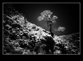 Černobílá fotografie - Soutěska