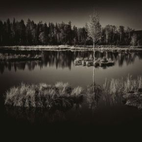 Černobílá fotografie - Šumavská klasika