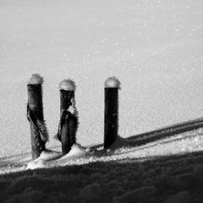 Černobílá fotografie - Tři pod čepicí