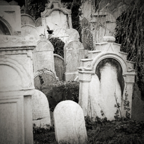 Černobílá fotografie - Cemetery