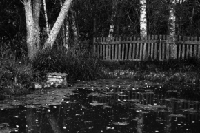 Černobílá fotografie - Rybník