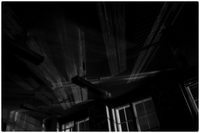 Černobílá fotografie - Večerní stíny