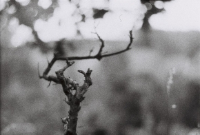 Černobílá fotografie - Kouzlo analogu II