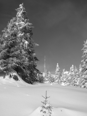 Černobílá fotografie - Ladovská zima