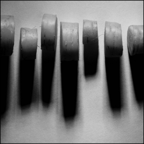 Černobílá fotografie - Hlemýždí závody