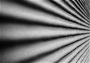 Černobílá fotografie - Stripes