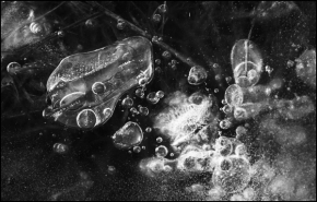 Černobílá fotografie - Bubbles