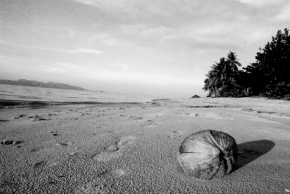 Černobílá fotografie - pláž