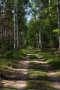 Jan Basovníček -Písečné lesy