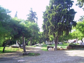 Stromy v krajině - Okolie Akropoly