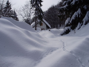 Laco Roskoš - Snehová perina