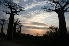Fotíme oblohu - Mezi baobaby