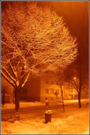 Zimní podvečer - Zima