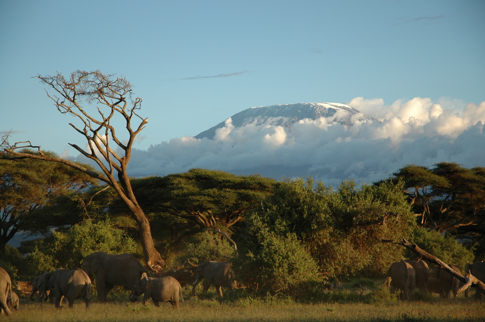In the shadow of Kilimanjaro