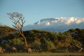 Jitka Krutílková - In the shadow of Kilimanjaro