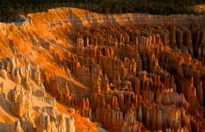 Fotograf roku na cestách 2012 - První paprsky nad Bryce Canyonem