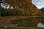 Jana Chumová -Podzim u rybníka