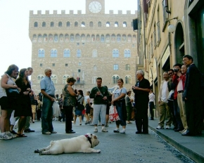 Člověk a jeho zvířátka - Nová atrakce ve Florencii