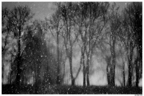 Zimní podvečer - Fotograf roku - Zimní krajina odražená v Labi