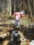 Dana Klimešová -kvetoucí les