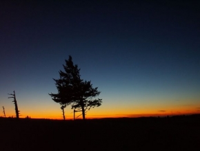 Zimní podvečer - Pisek a stromy
