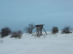Fotograf roku v přírodě 2012 - Posed v zimě