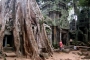 Jana Bednářová -Kambodža-Angkor-stromy