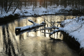 Zimní podvečer - Zlatonosná řeka