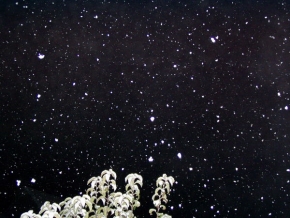 Kouzlení zimy - Fotograf roku - kreativita - První sníh