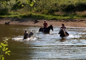 Fotograf roku v přírodě 2012 - Plavení koní