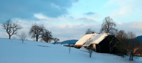 Robert Adamec - Zimní podvečer