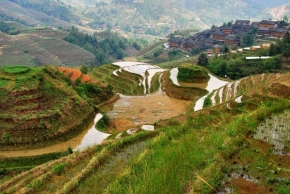 Milos Beran - Rýžové terasy Longji, Longshan, Čína