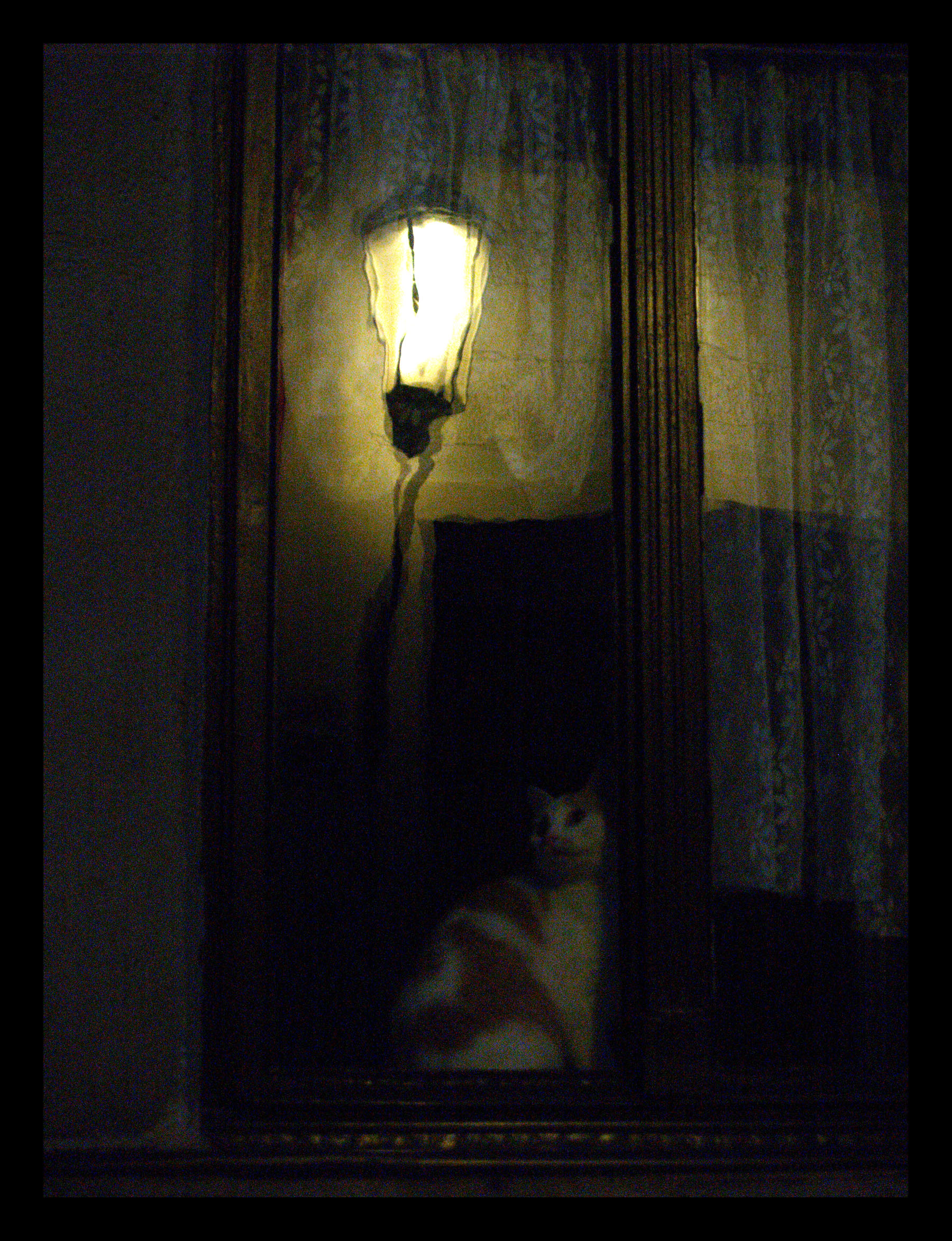 Za oknem seděla kočka...