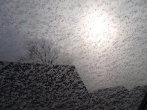 Fotíme oblohu - Fotograf roku - Kreativita - VIII. kolo - zimní slunce