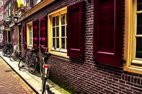 Fotograf roku na cestách 2012 - Ulička v Amsterdame