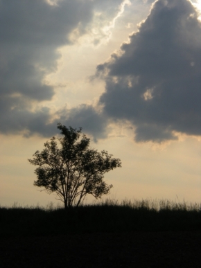Bara Pavlíková - horizont