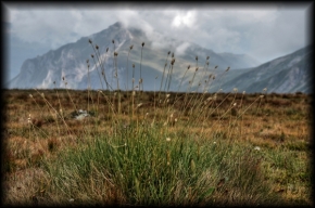 Fotograf roku v přírodě 2012 - tráva