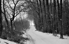 Ondřej Hanuš - Zimní cesta